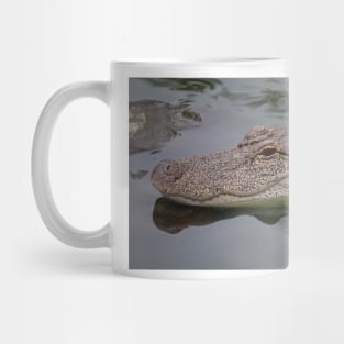 Later Gator Mug